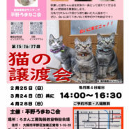 第15回平野ろまねこ譲渡会