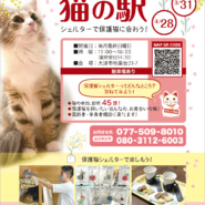 総勢45頭の保護猫たちの譲渡会【猫の駅】
