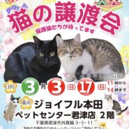 【千葉県君津市】猫の譲渡会