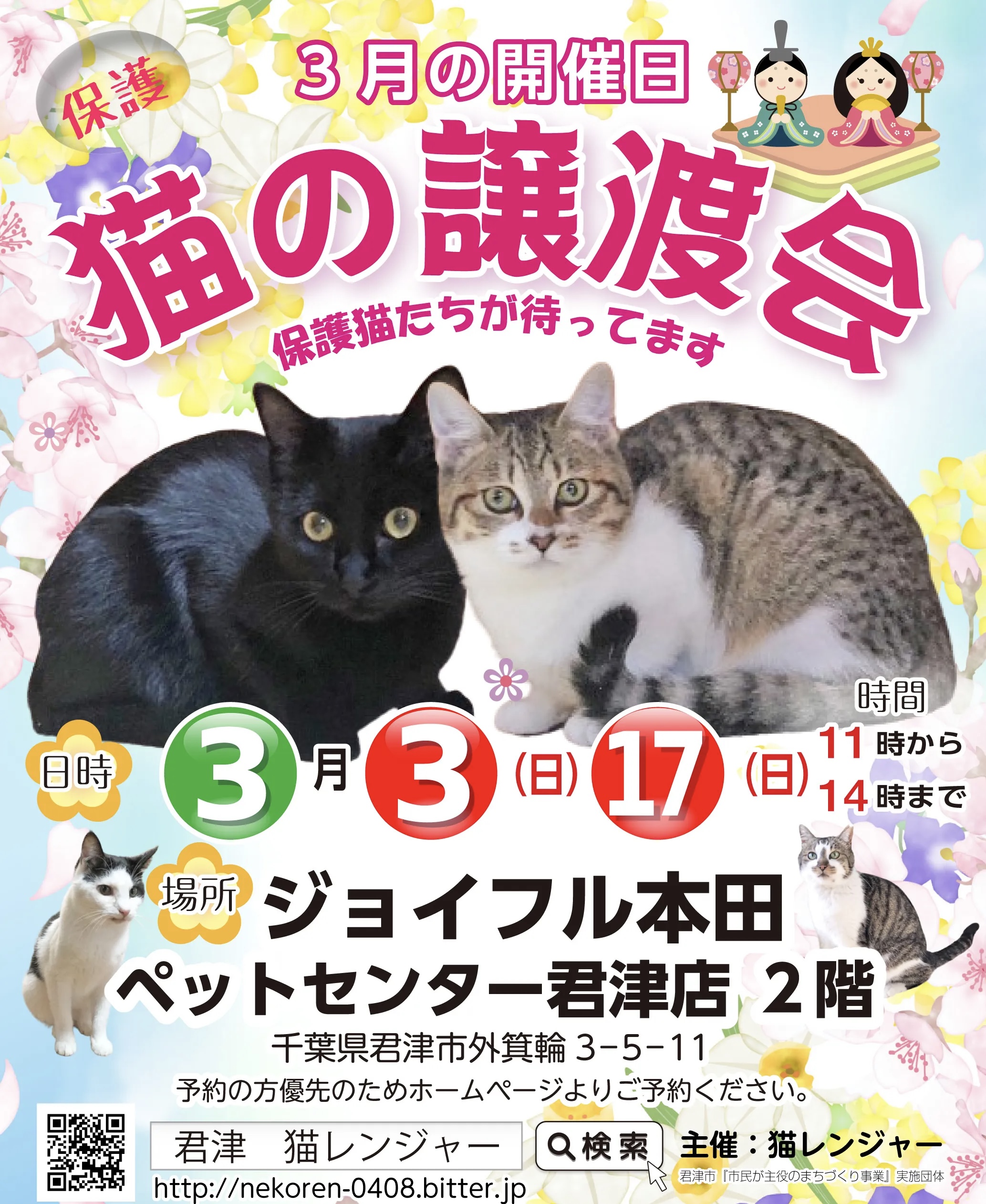 【千葉県君津市】猫の譲渡会