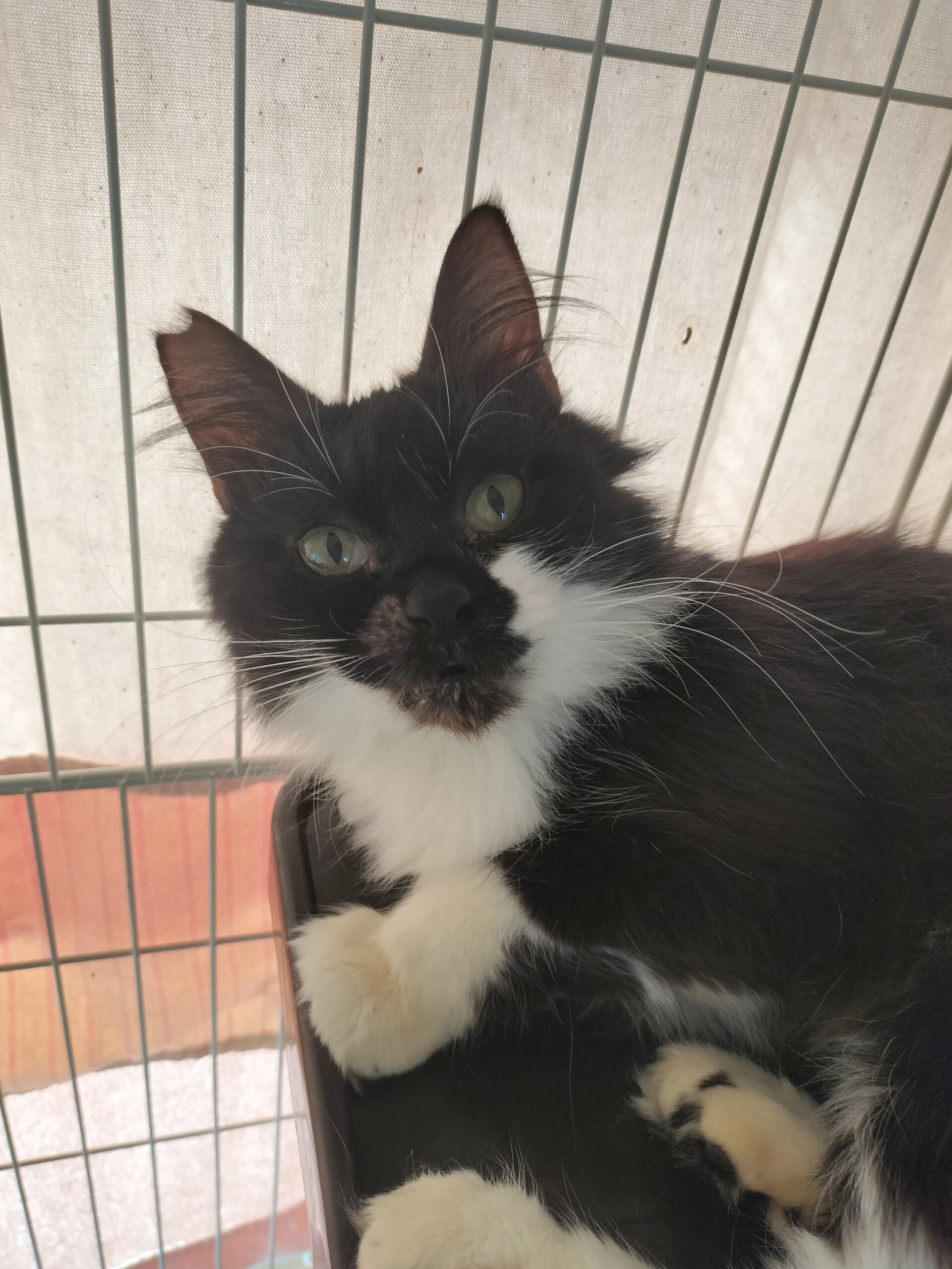 人馴れバツグン