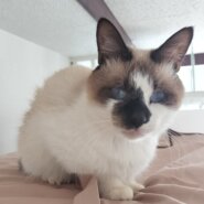 元気なリオくん