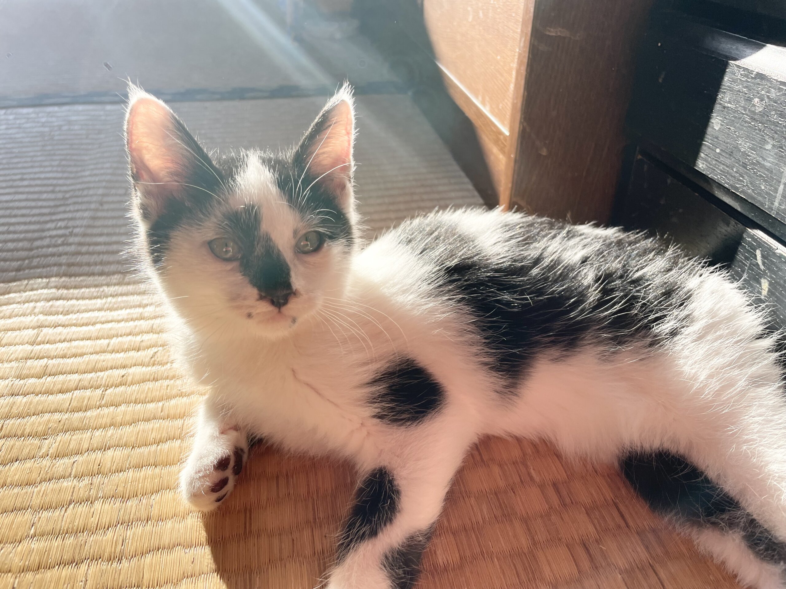 性格穏やか優しいお坊ちゃん♡とと君