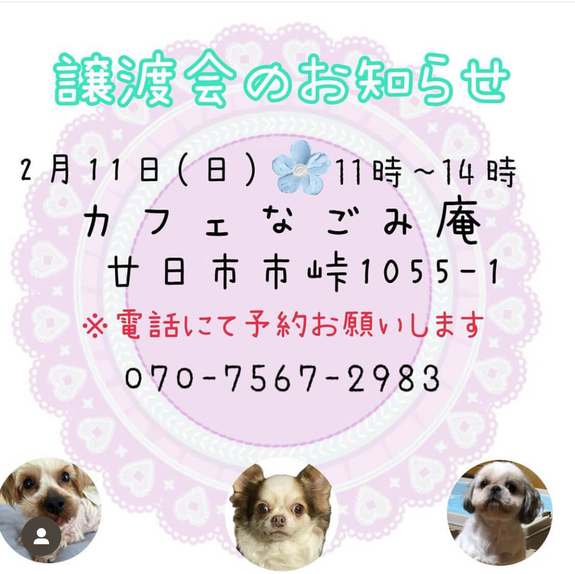 ２０２４年第２回譲渡会開催