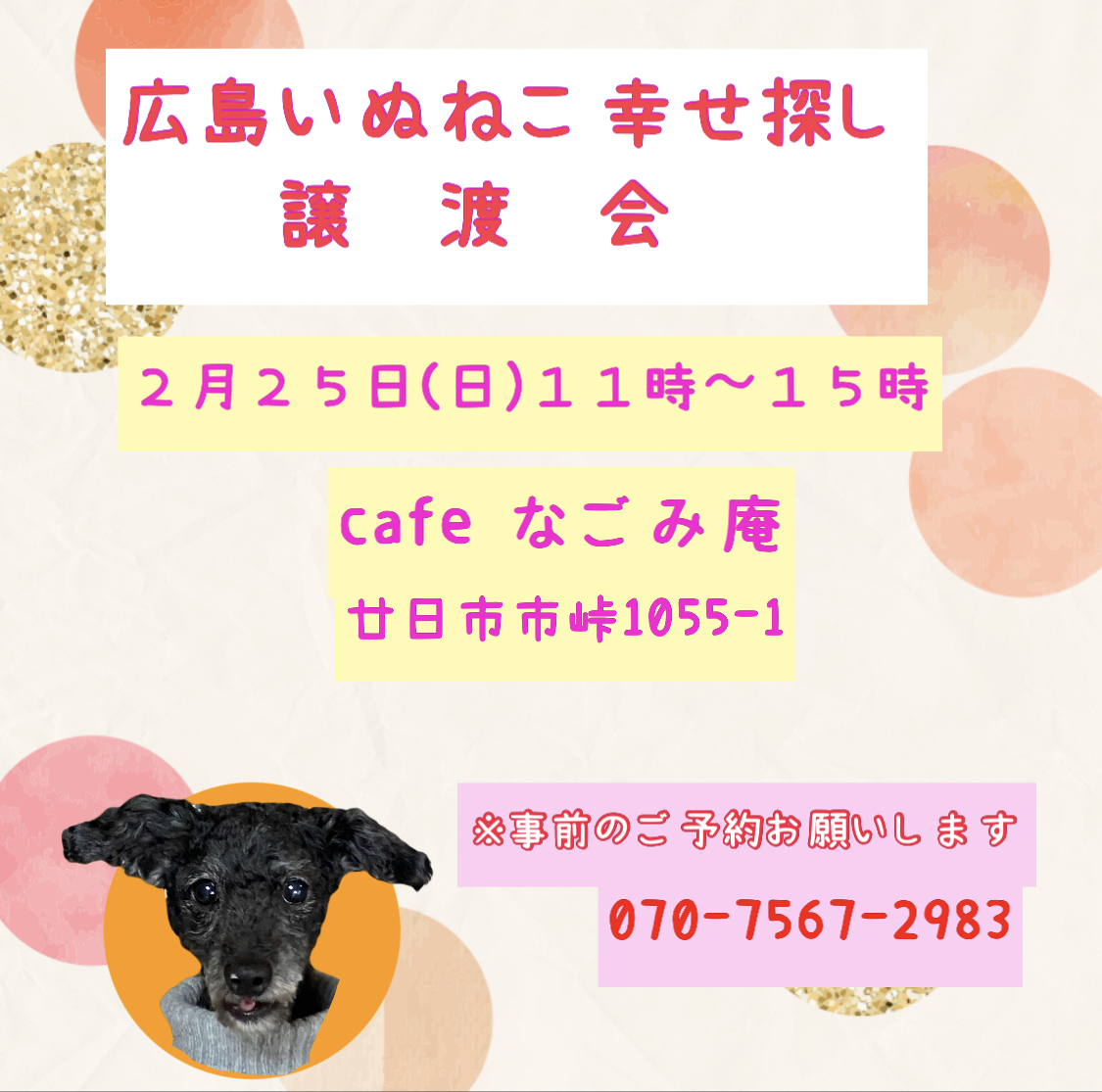 譲渡会開催