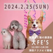 保護犬猫の譲渡会【犬Fēs】