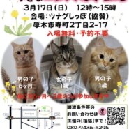 ツムグ小さな譲渡会