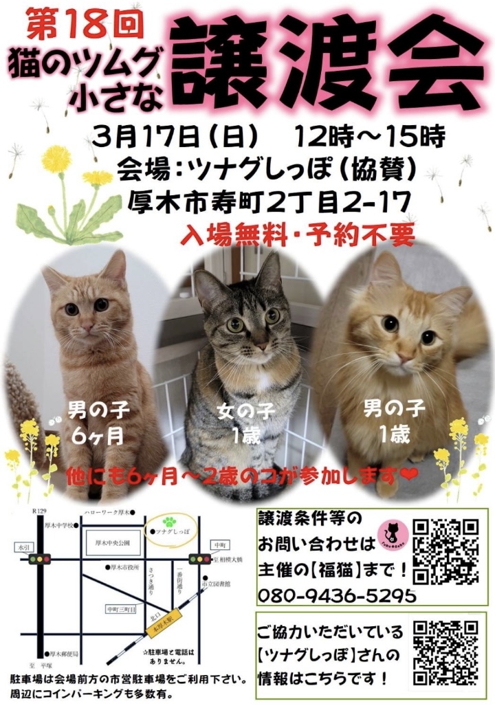 ツムグ小さな譲渡会