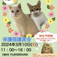 花ねこ譲渡会
