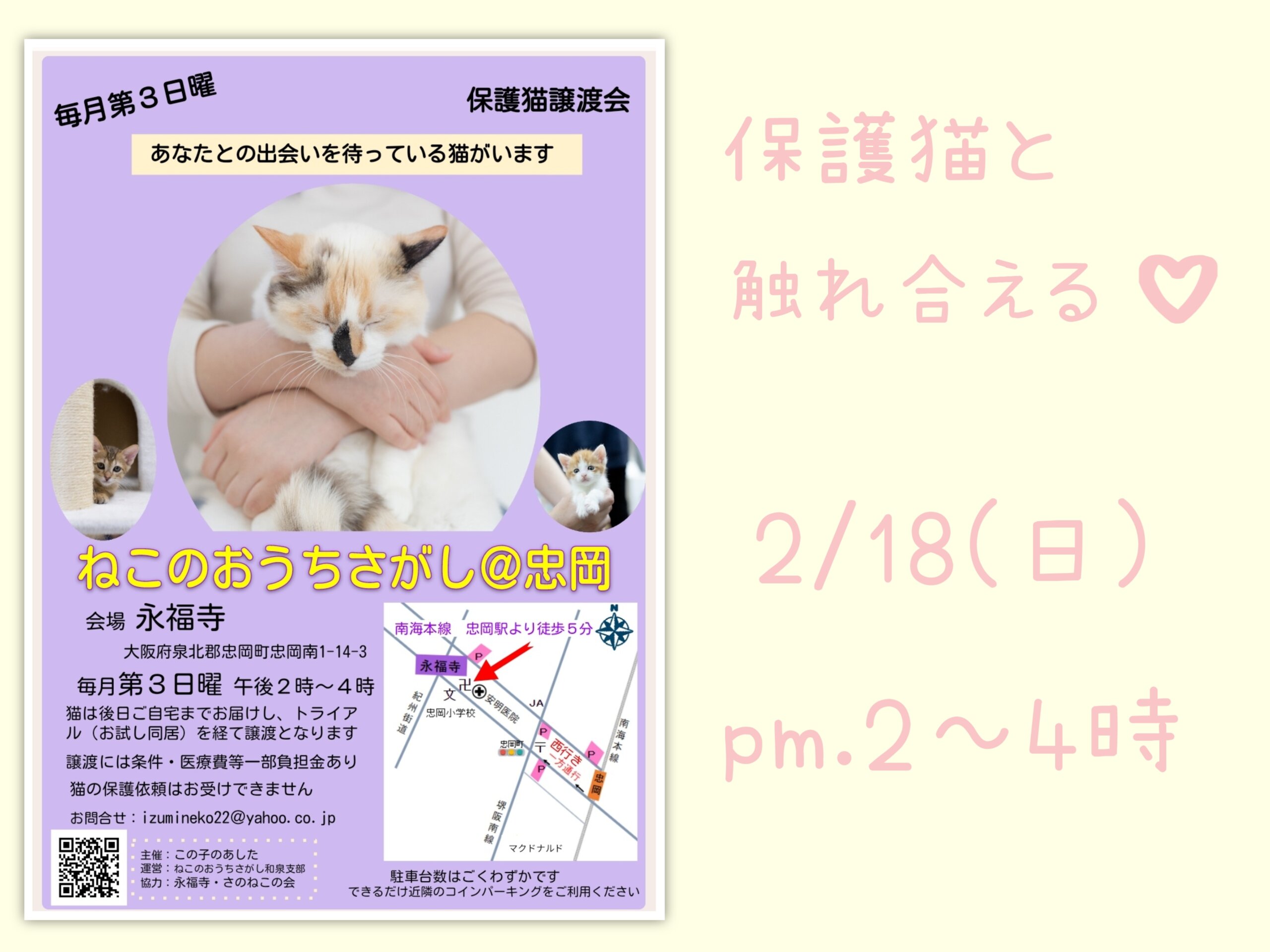 ☆保護猫と触れ合える☆ねこのおうちさがし＠忠岡