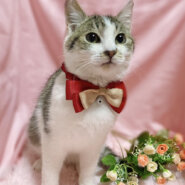 初心者向き！なれなれ♪おっとり癒し系『のの君』