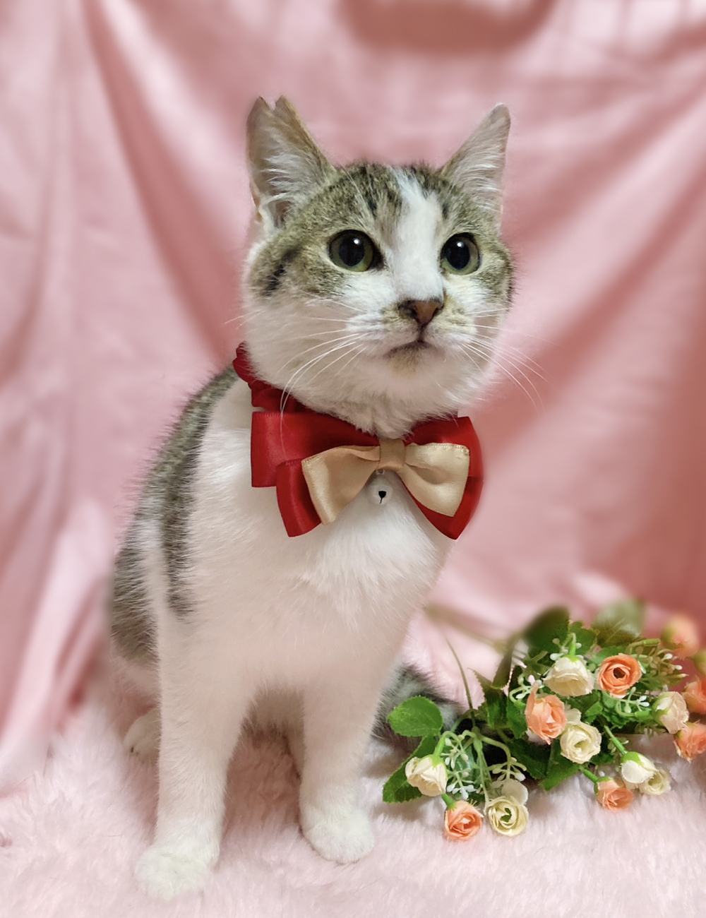 初心者向き！なれなれ♪おっとり癒し系『のの君』