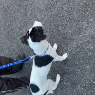 生後3ヶ月 男の子 人懐っこて甘えん坊