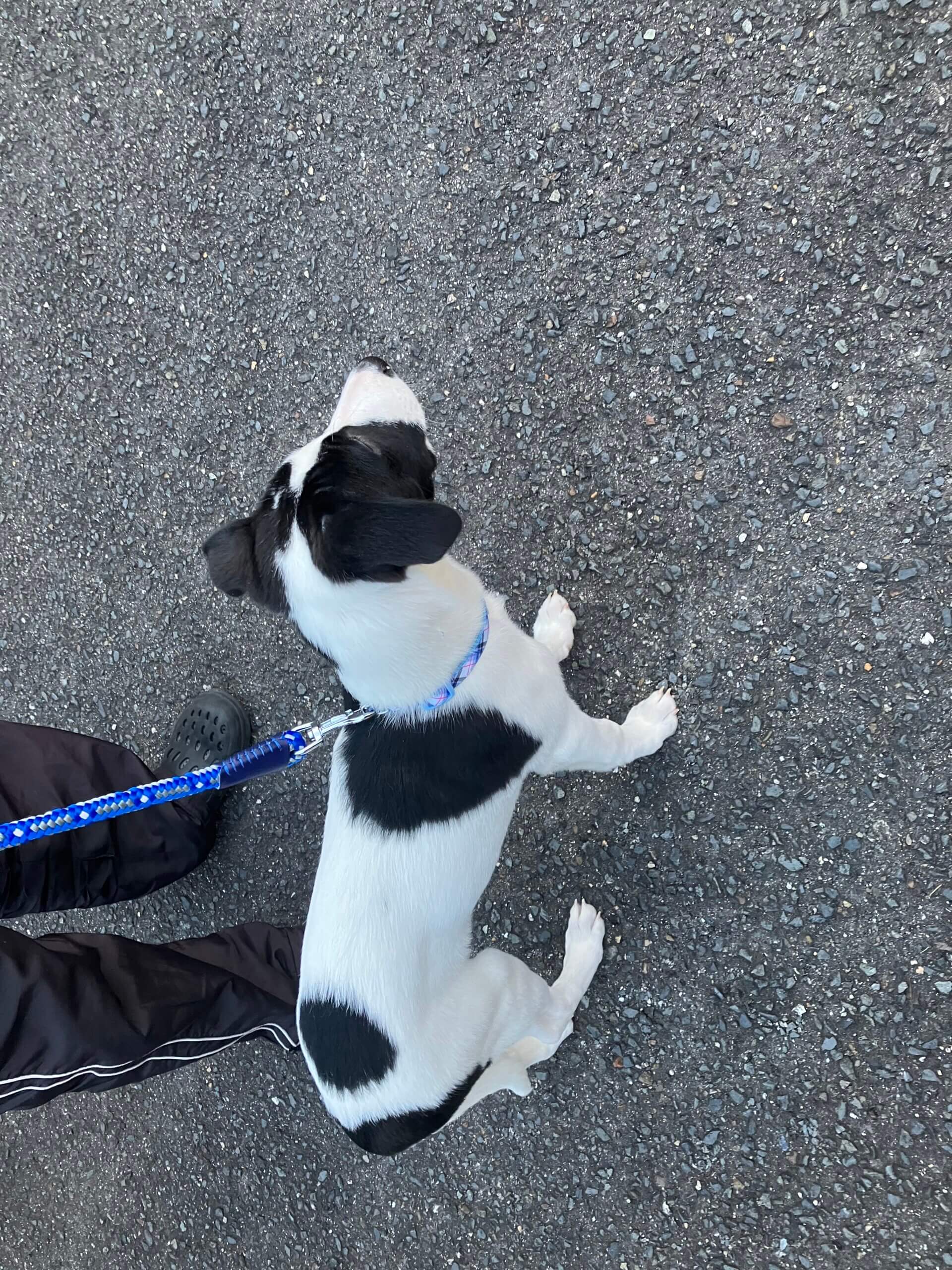 生後3ヶ月 男の子 人懐っこて甘えん坊