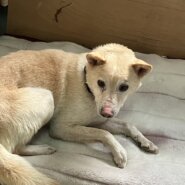 怪我を克服しました可愛い子です