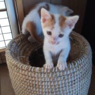 兄弟で一生懸命生きてきました