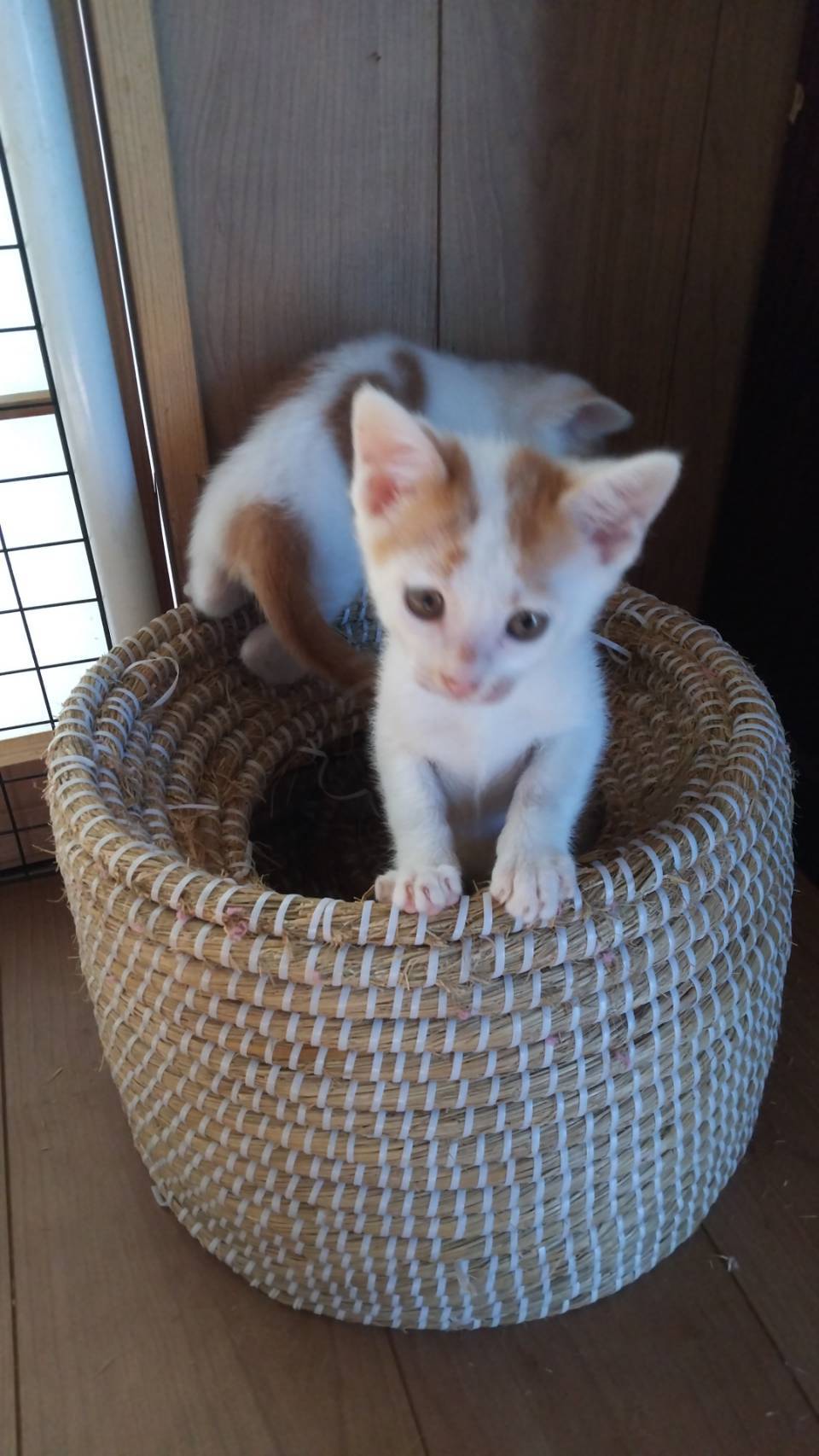 兄弟で一生懸命生きてきました