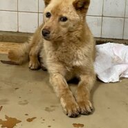 まだ子供です可愛い子です