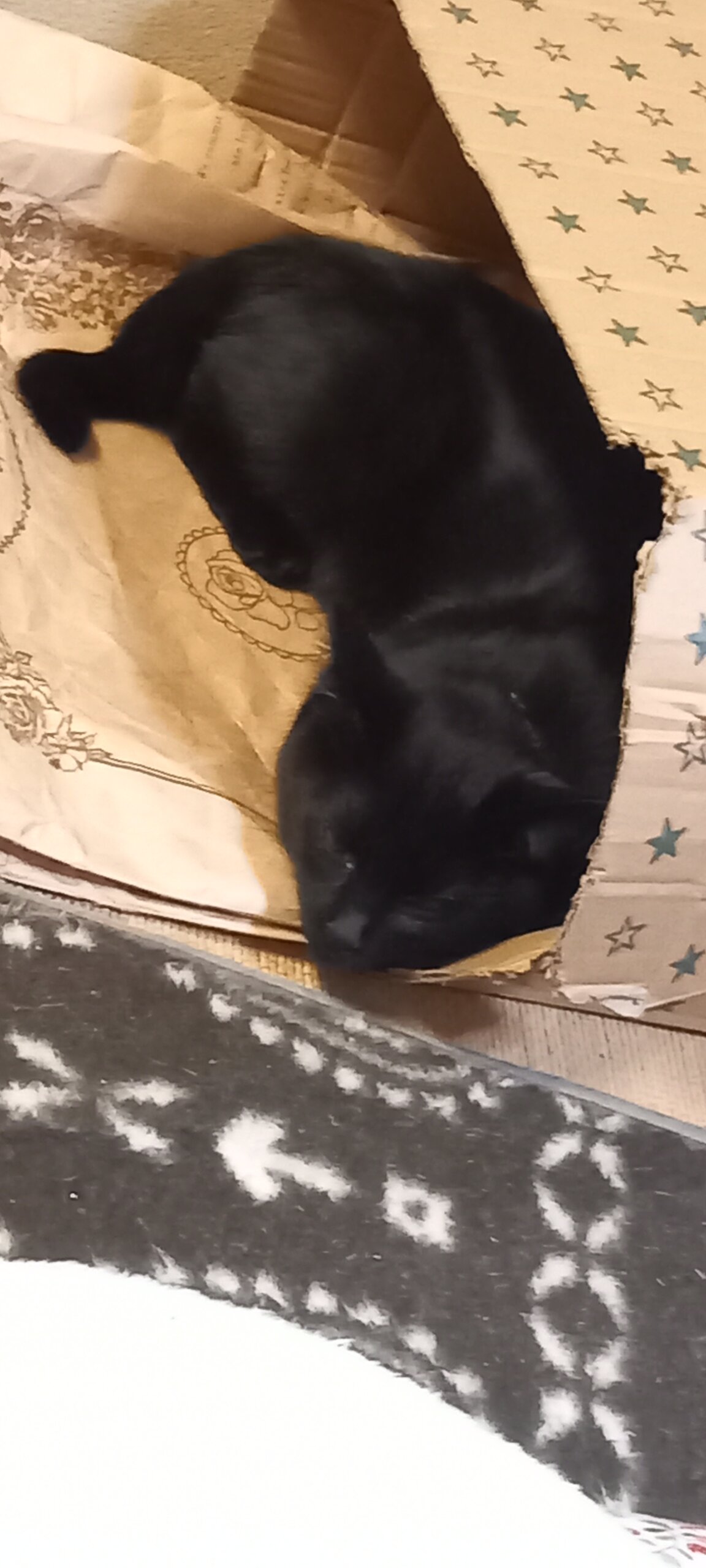 生後半年(女の子)