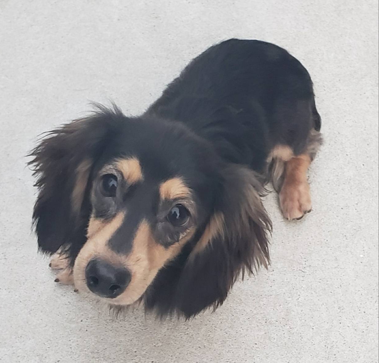 里親様決まりました。