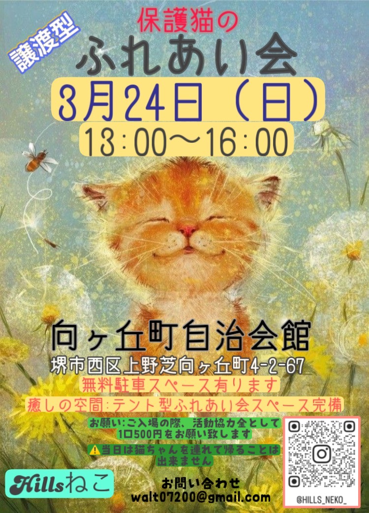 保護猫のふれあい会