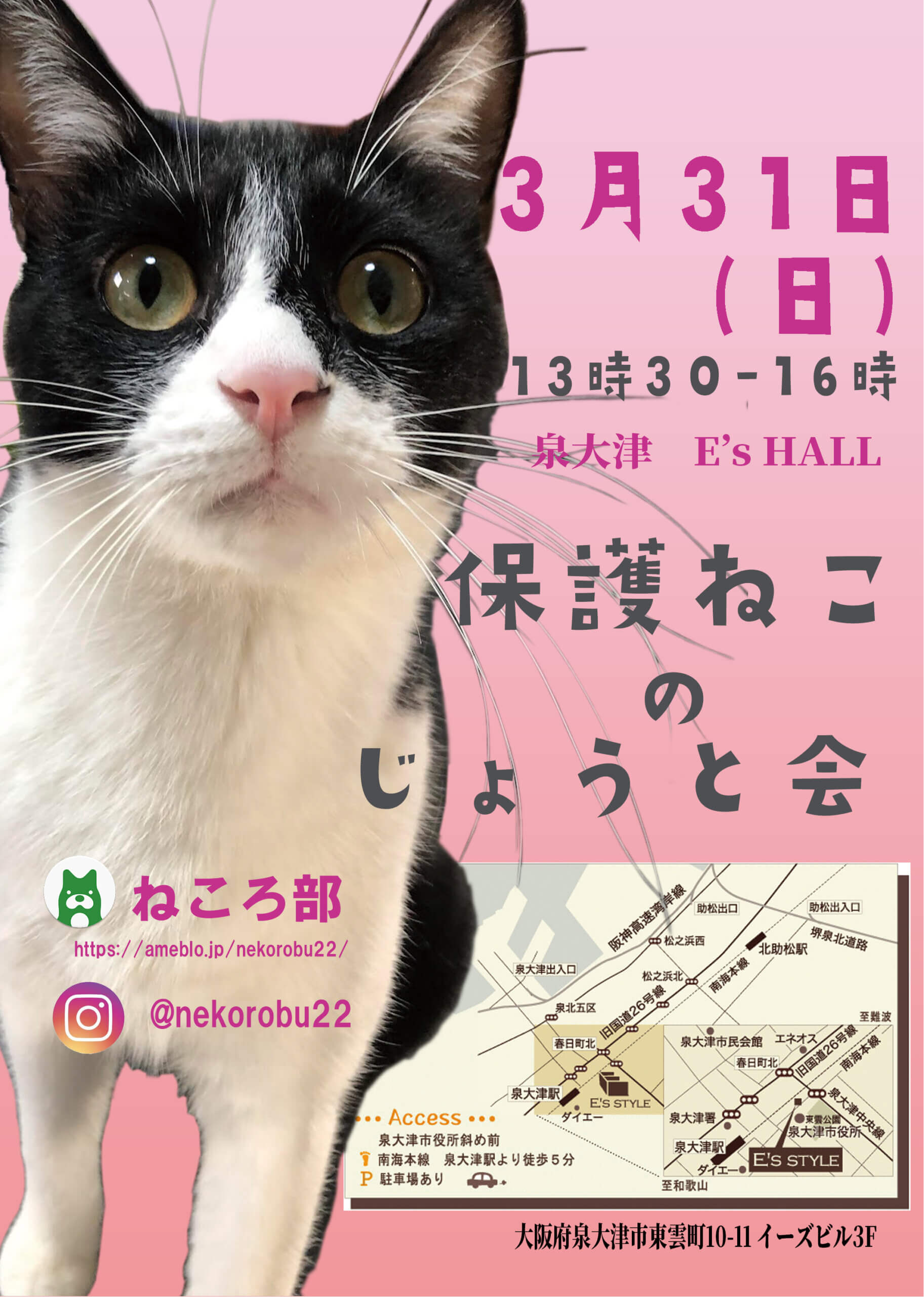 「保護ねこの譲渡会」