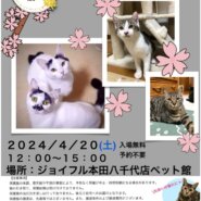 花ねこ譲渡会