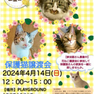 花ねこ譲渡会