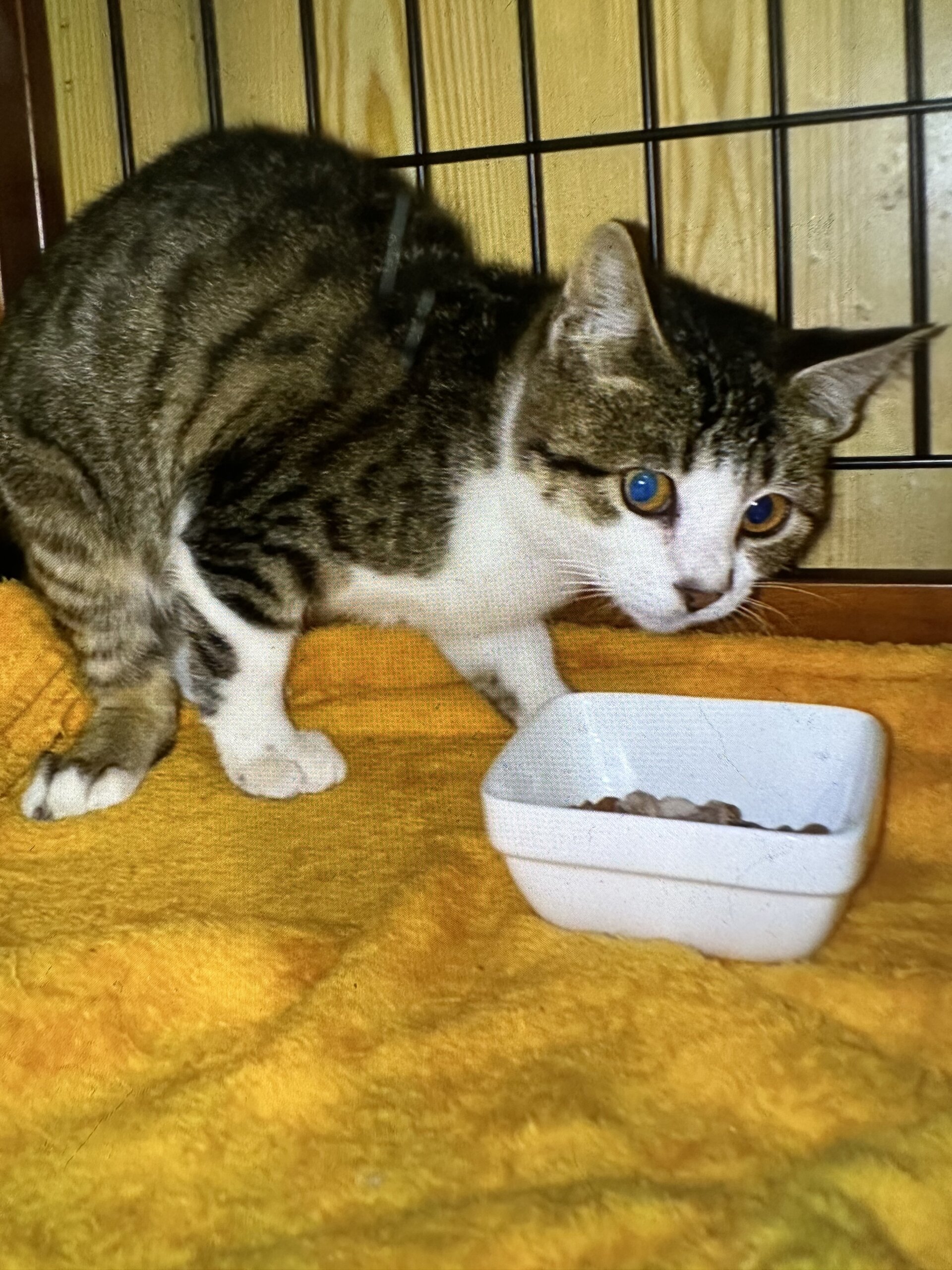 推定1才9ヶ月（女の子）