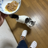 生後1才6ヶ月（男の子）