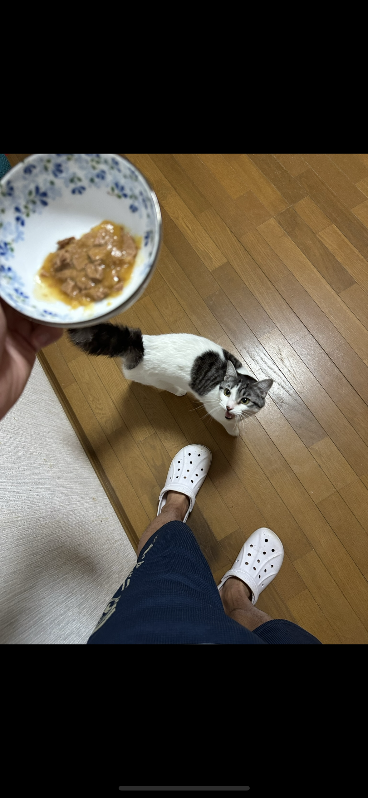 生後1才6ヶ月（男の子）