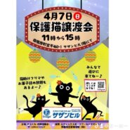 保護猫譲渡会