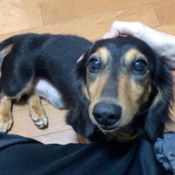 甘えん坊可愛い男の子