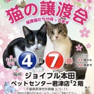 【君津市】猫の譲渡会