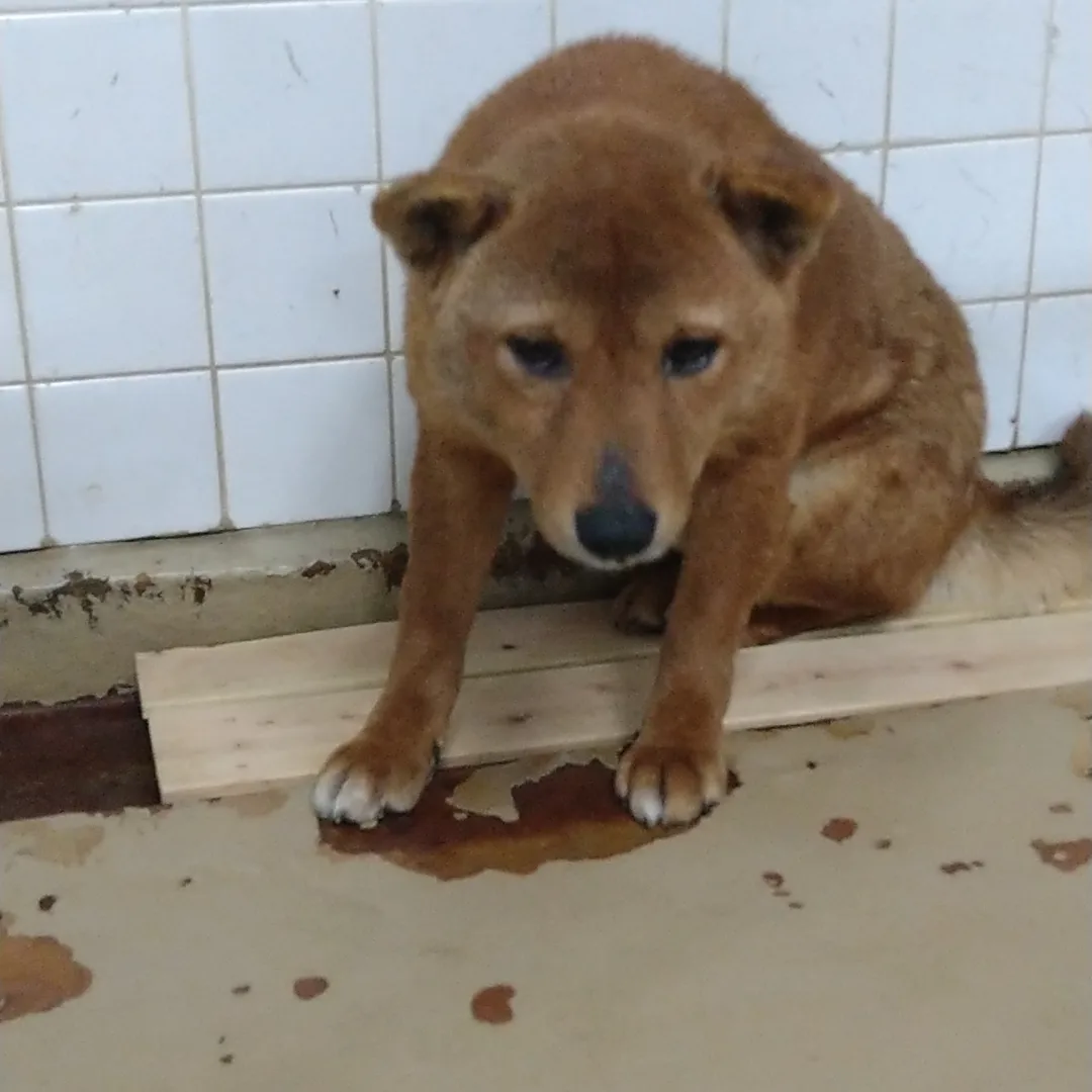 家族の迎え待ってます
