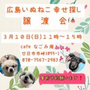 ３月譲渡会