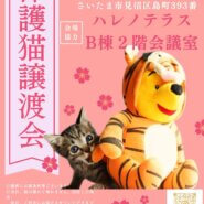 【さいたま市】3/17（日）ハレノテラス保護猫譲渡会