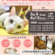 大阪京橋の譲渡会