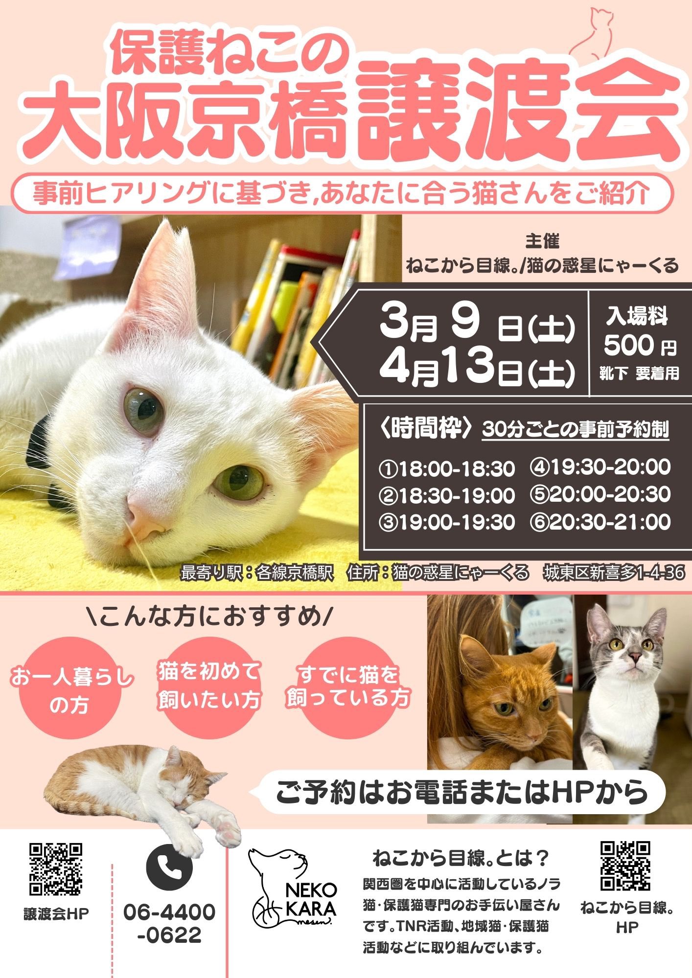 大阪京橋の譲渡会