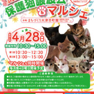 百町保護猫譲渡会＆マルシェ