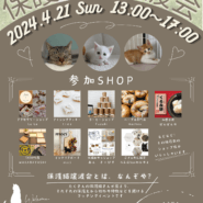 保護猫譲渡会in泉大津