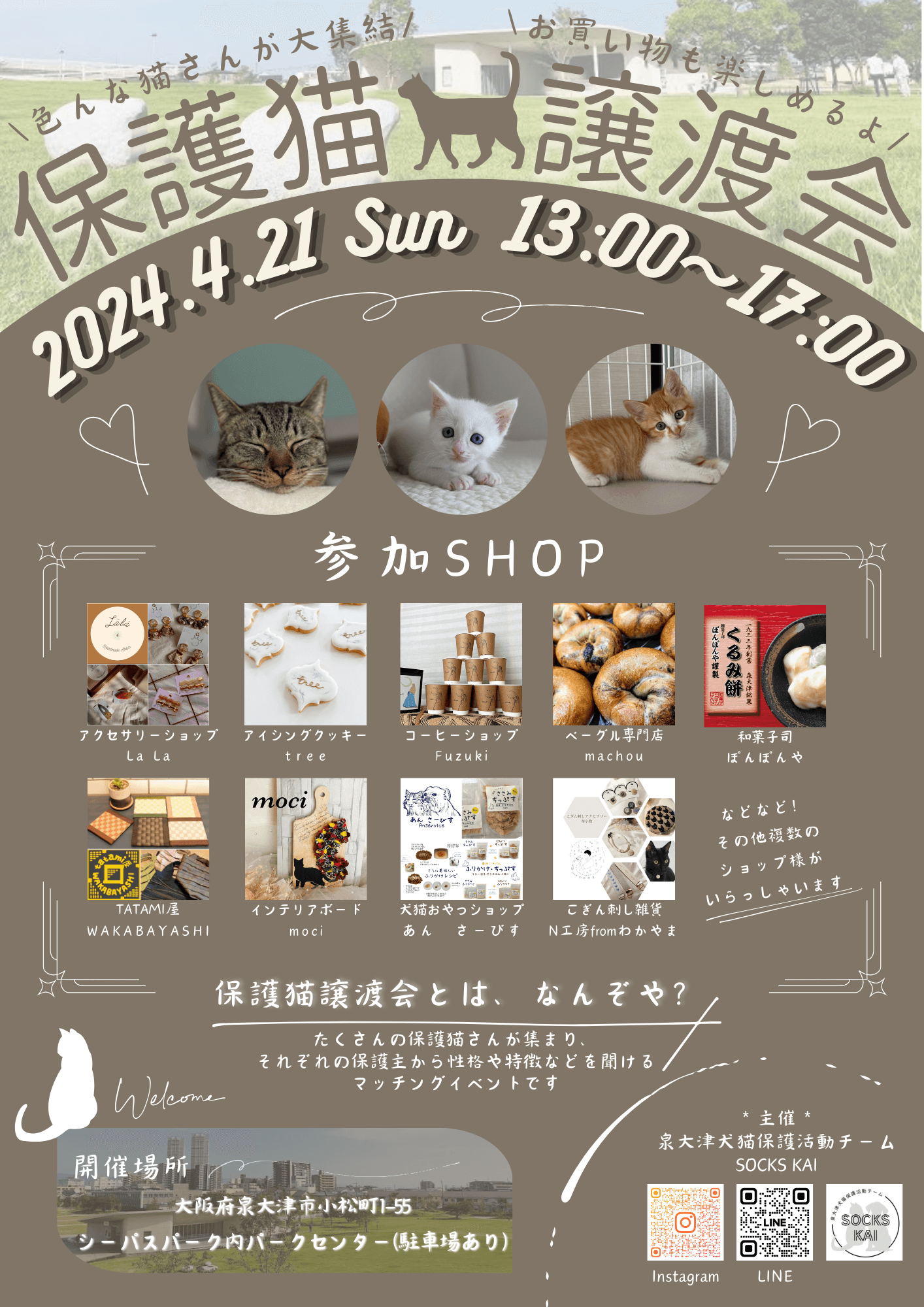 保護猫譲渡会in泉大津