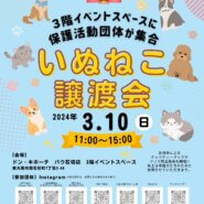 犬と猫の譲渡会