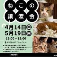 むさしの地域猫の会　譲渡会