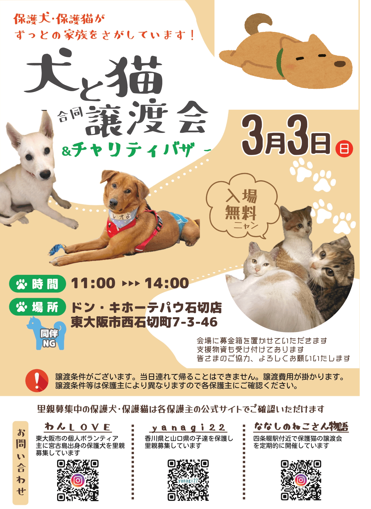 犬と猫の譲渡会