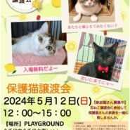 花ねこ譲渡会