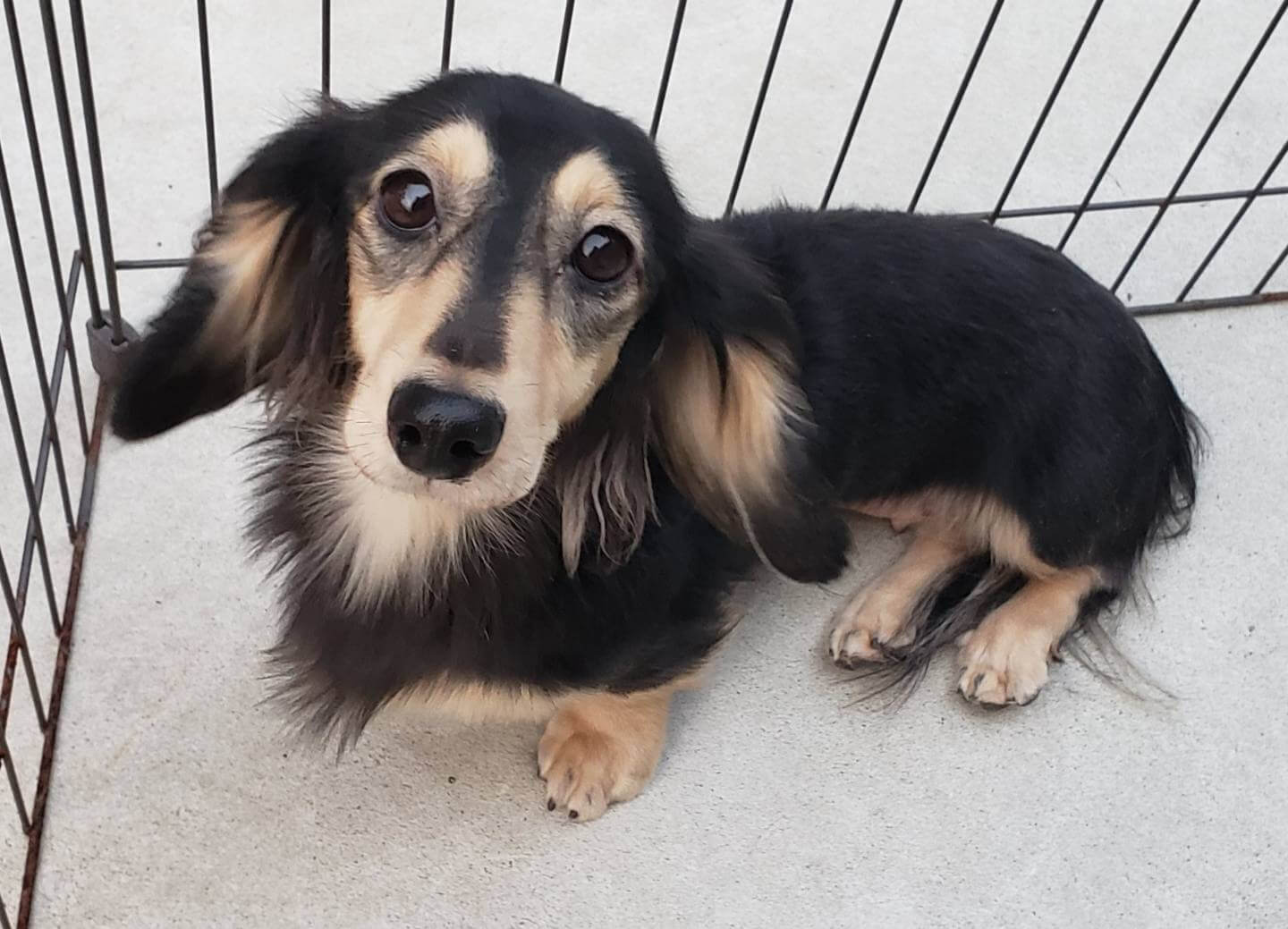 里親様決まりました。