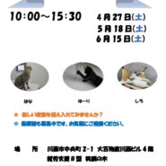 保護猫譲渡会