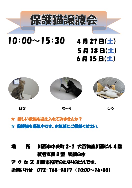 保護猫譲渡会