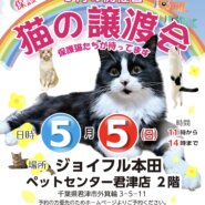 【君津市】猫の譲渡会
